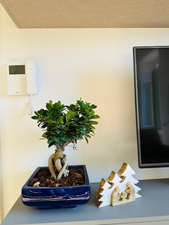 Alocasia Luxury Stay Salerno Exterior photo
